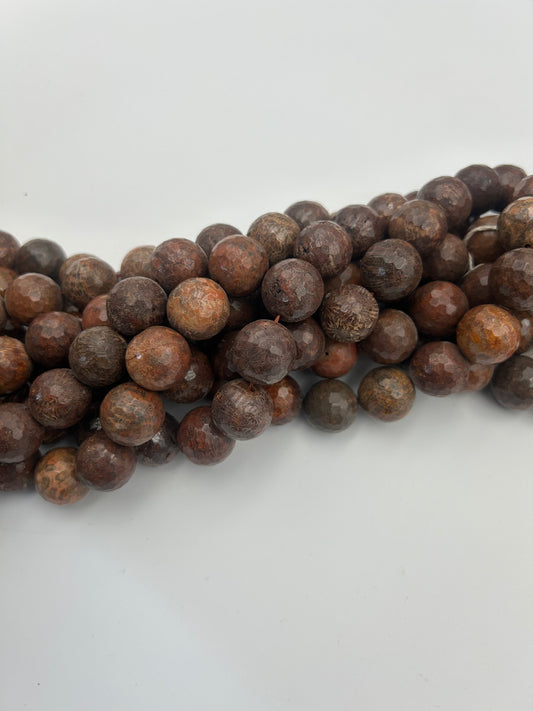 AAA Fossilized Coral Beads