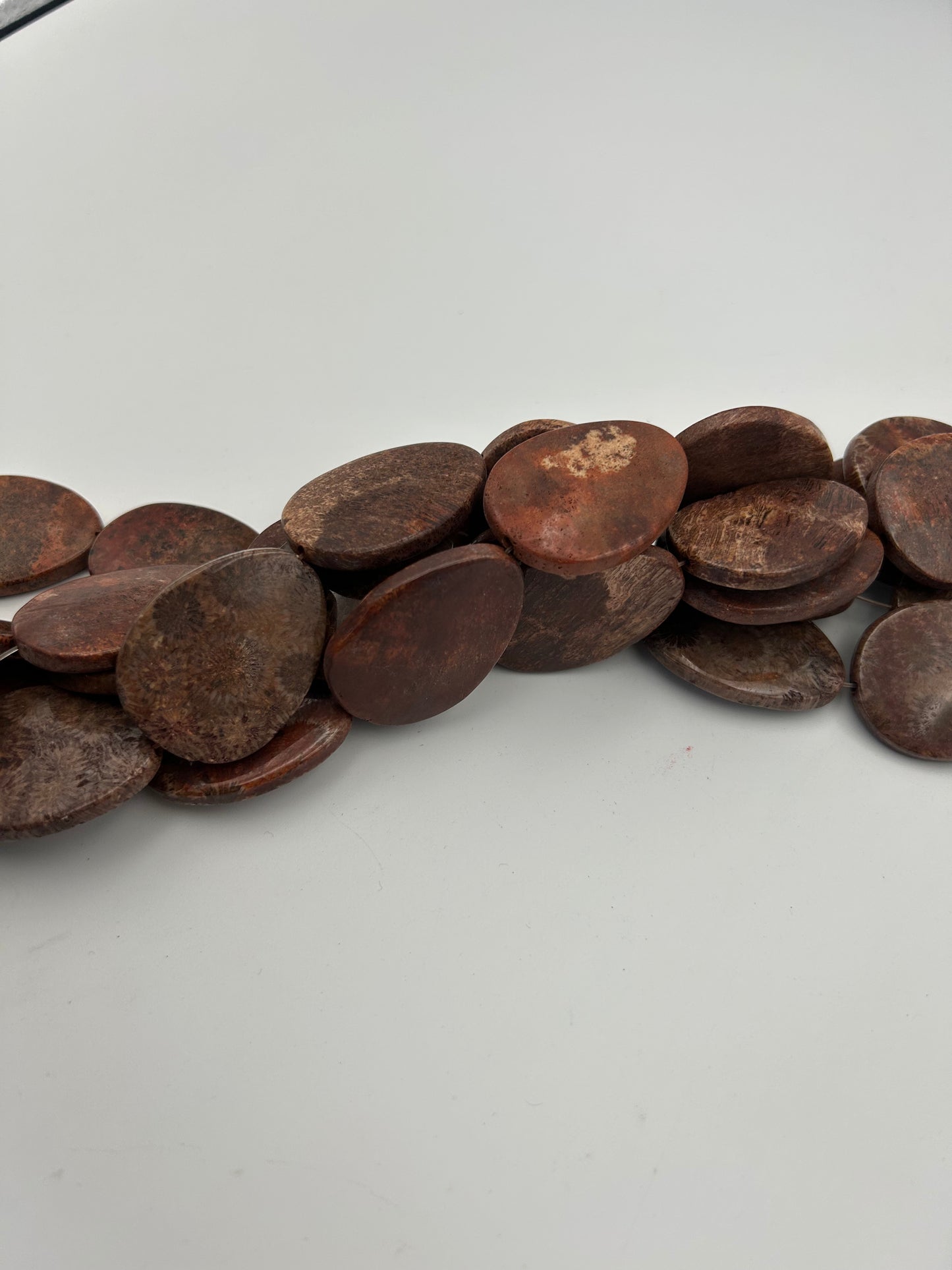 AAA Fossilized Coral Beads