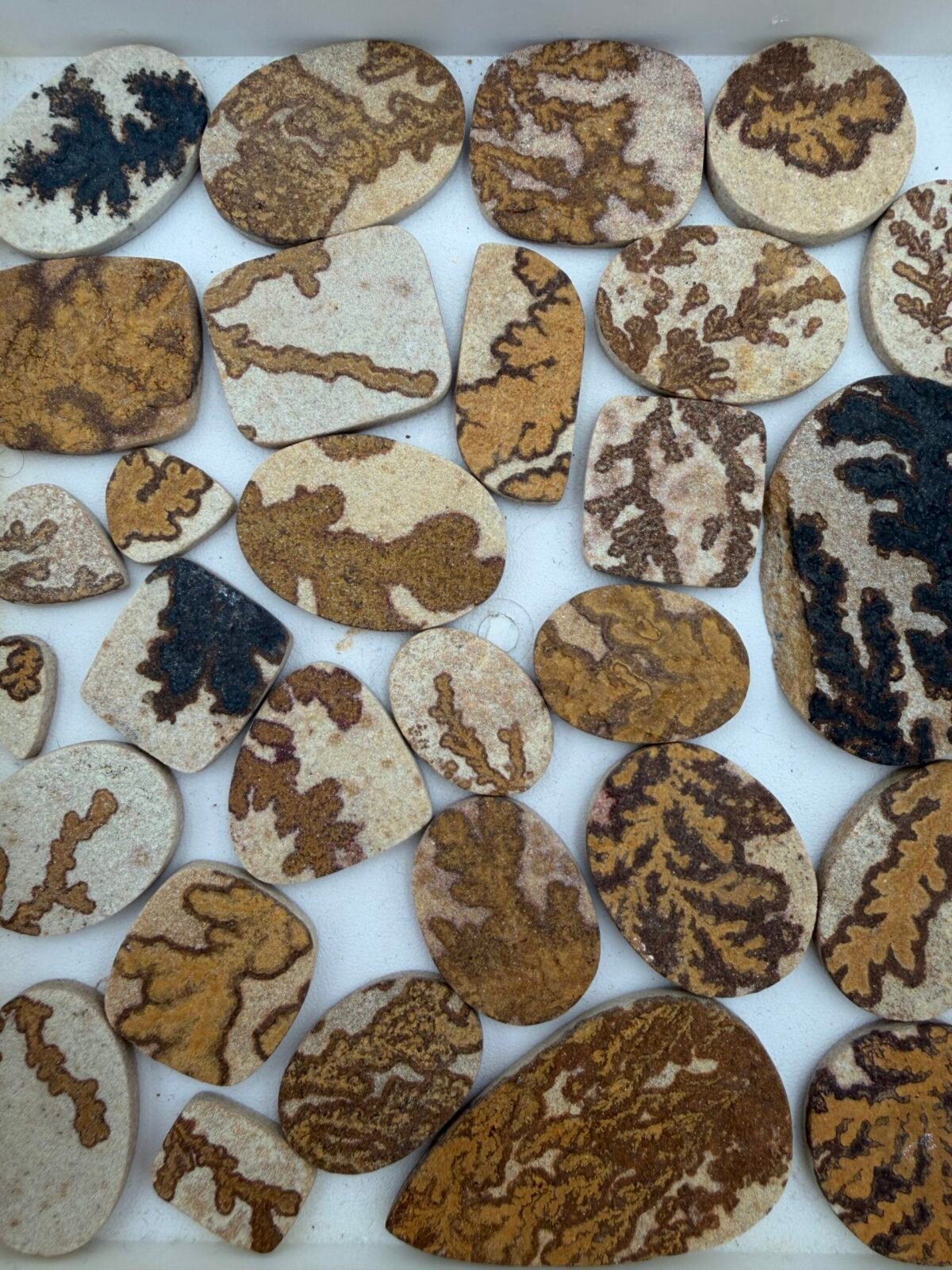 Flac Roots Stone Root stone - Khorasan Gems