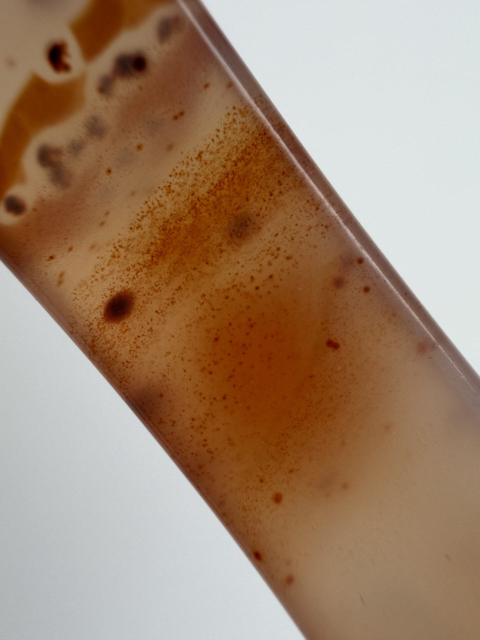 Honey-Amber Patterned Sulemani Agate Bangle - Image 3